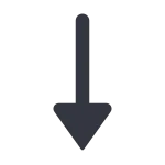 Arrow Down Long SVG Icon